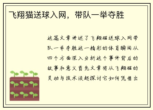 飞翔猫送球入网，带队一举夺胜